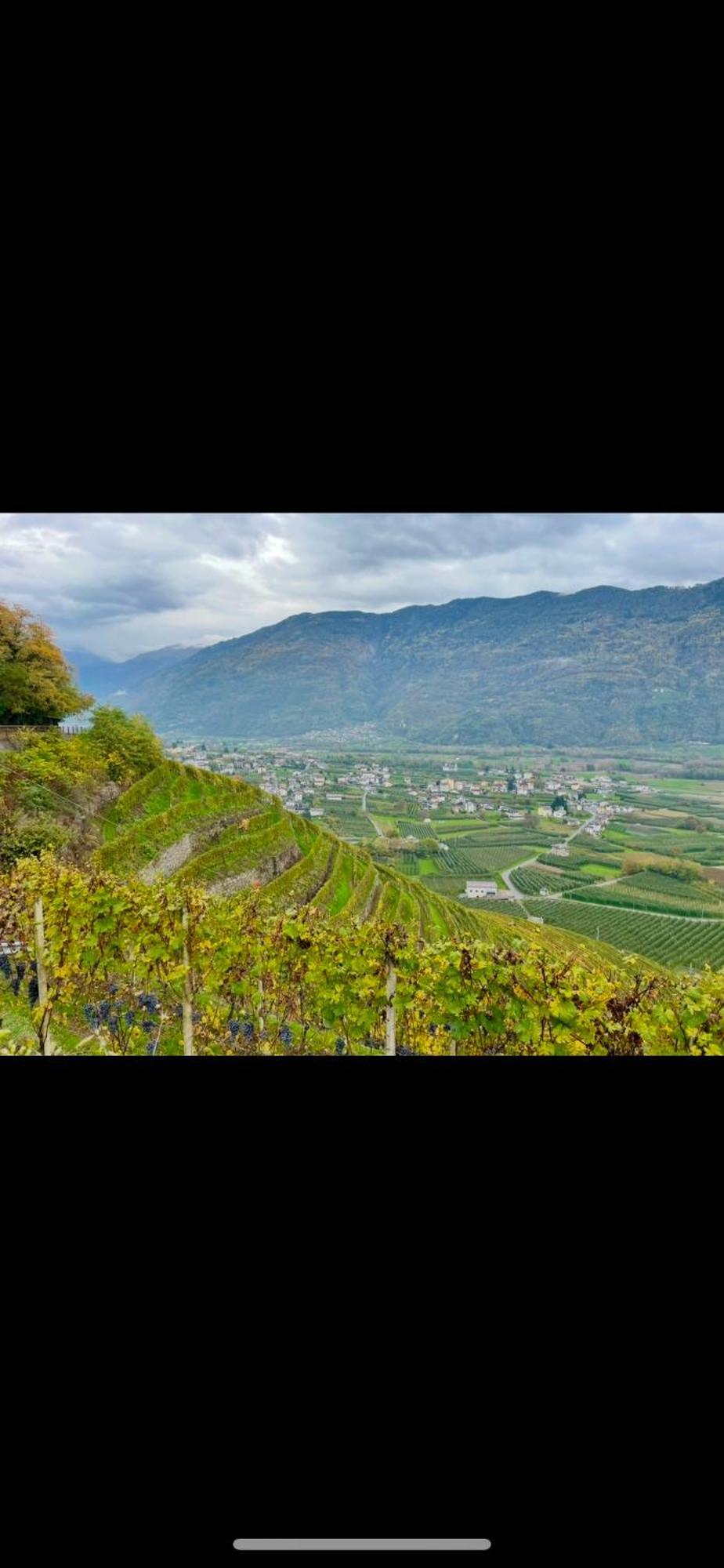 Hotel Ca Marasciol A 5 Minuti Dal Trenino Rosso Del Bernina Express Villa di Tirano Esterno foto